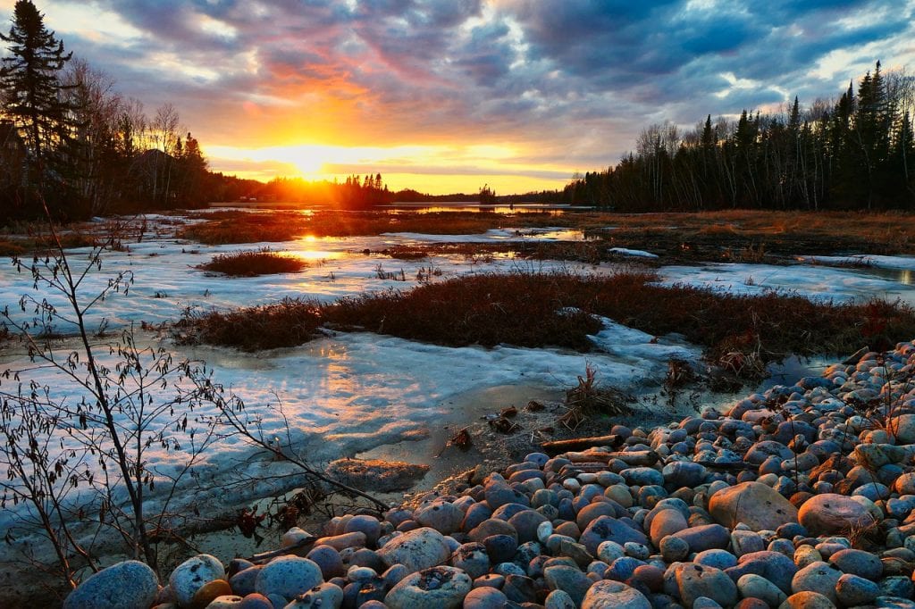 ice, stones, trees-7953468.jpg